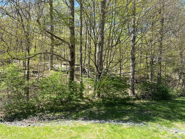 a view of a yard