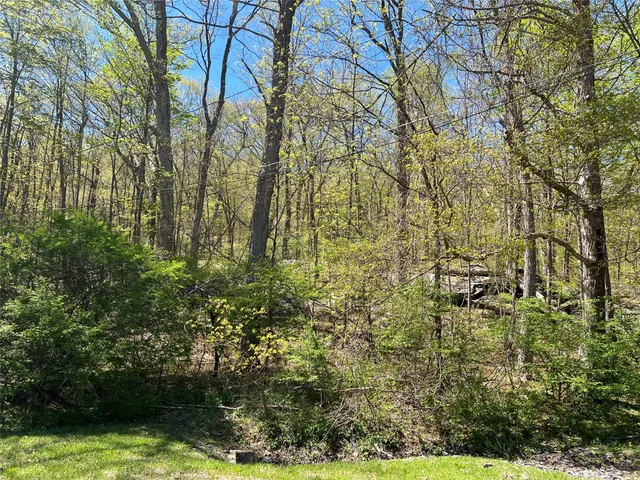 a view of a yard with plants