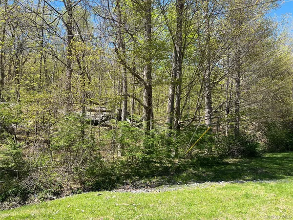 a view of a yard with large trees