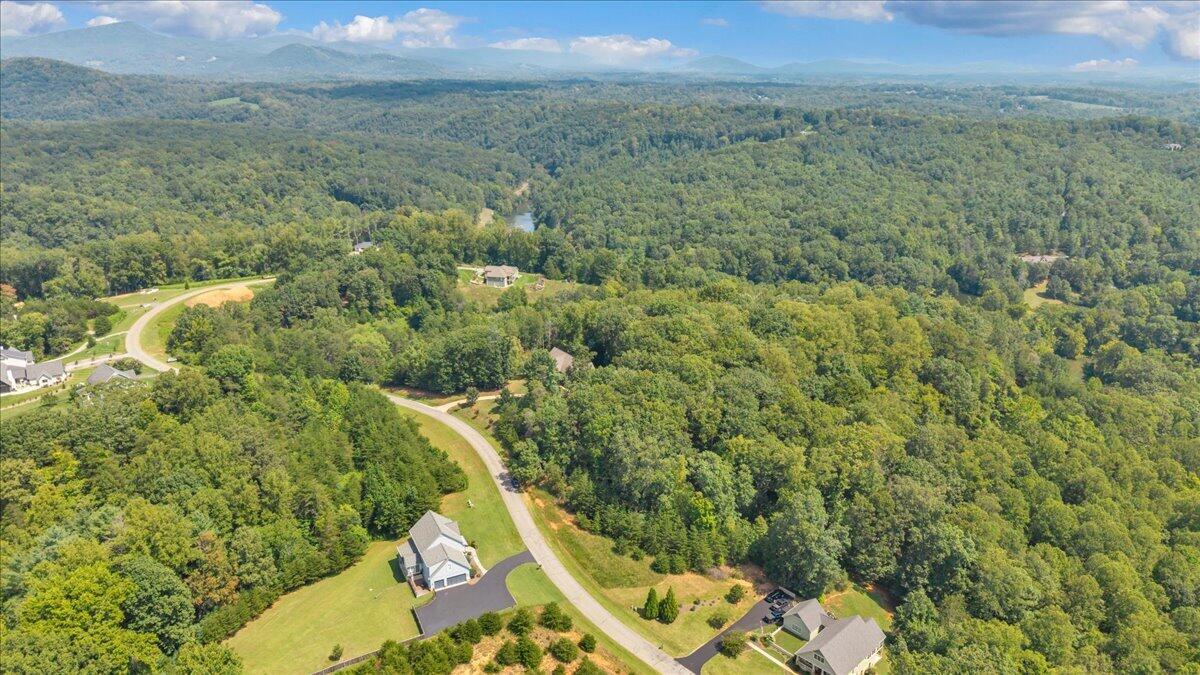 Lot 26 Palmetto Bluff Road Hardy, VA 24101 - Photo 16 of 22 17-DJI_20260901135002_0028_D