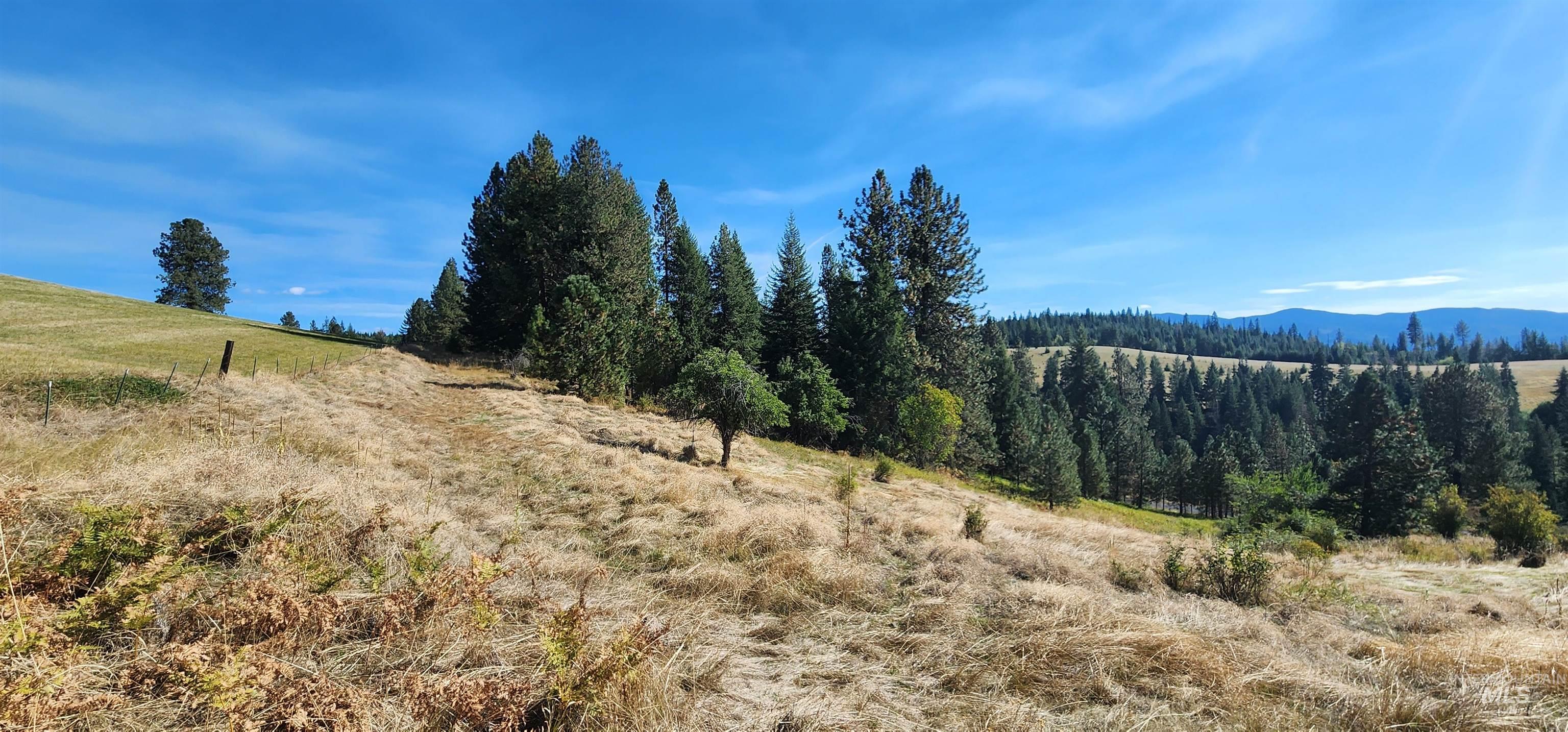 Tbd Red Fir Road Kooskia, ID 83539 - Photo 12 of 34