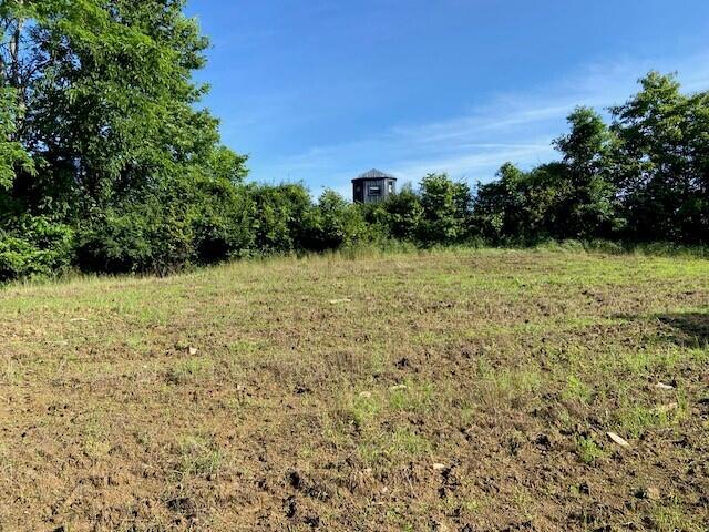 0 Mann Road Mount Olivet, KY 41064 - Photo 22 of 46