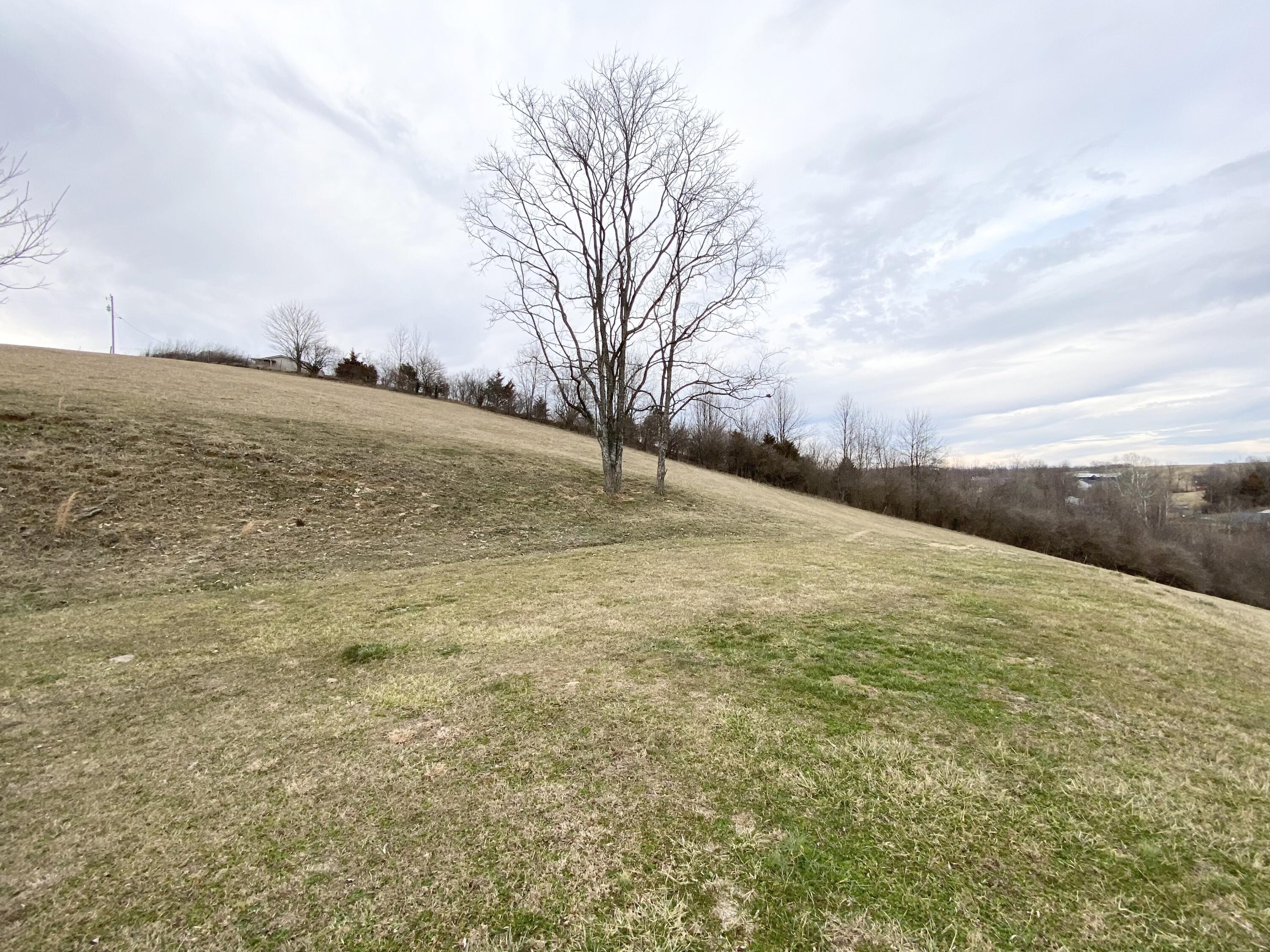 2593 Irvine Road Winchester, KY 40391 - Photo 26 of 38 IMG_1595