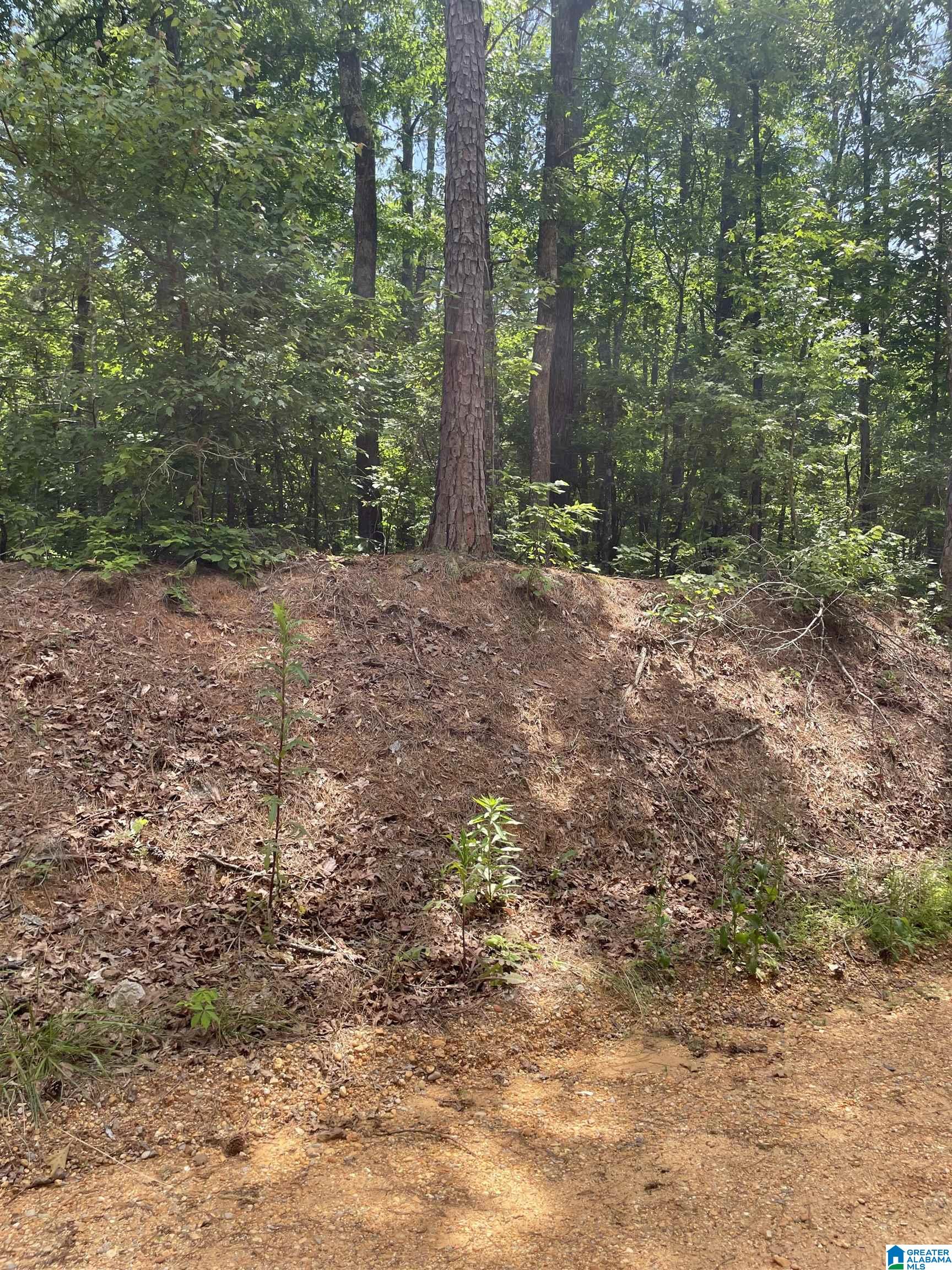 0 Mitchell Drive, Unit 3 Vance, AL 35490 - Photo 1 of 3