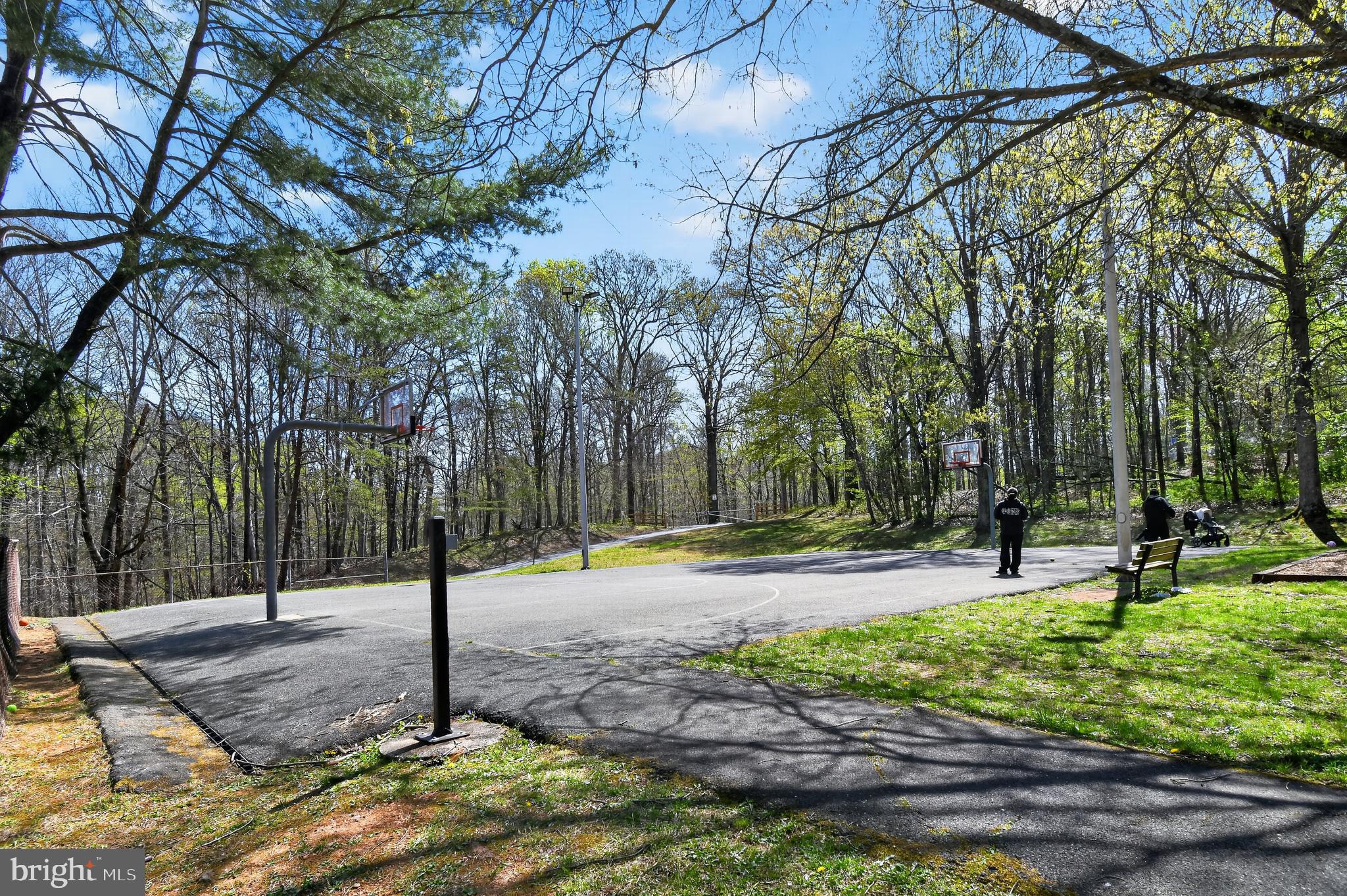 8439 Bells Ridge Terrace Potomac, MD 20854 - Photo 42 of 43