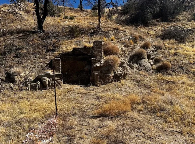 a view of a yard of the house