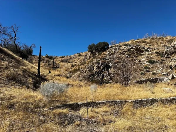 a view of a covered with green space