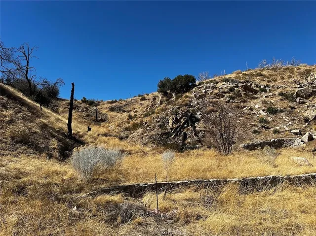 a view of a covered with green space