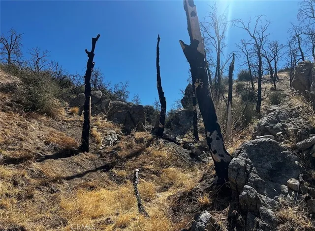 a view of a yard with wooden fence