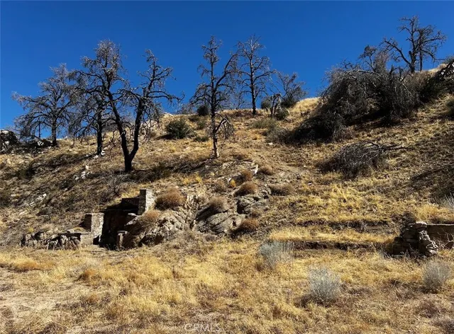 a view of a outdoor space with lots of trees