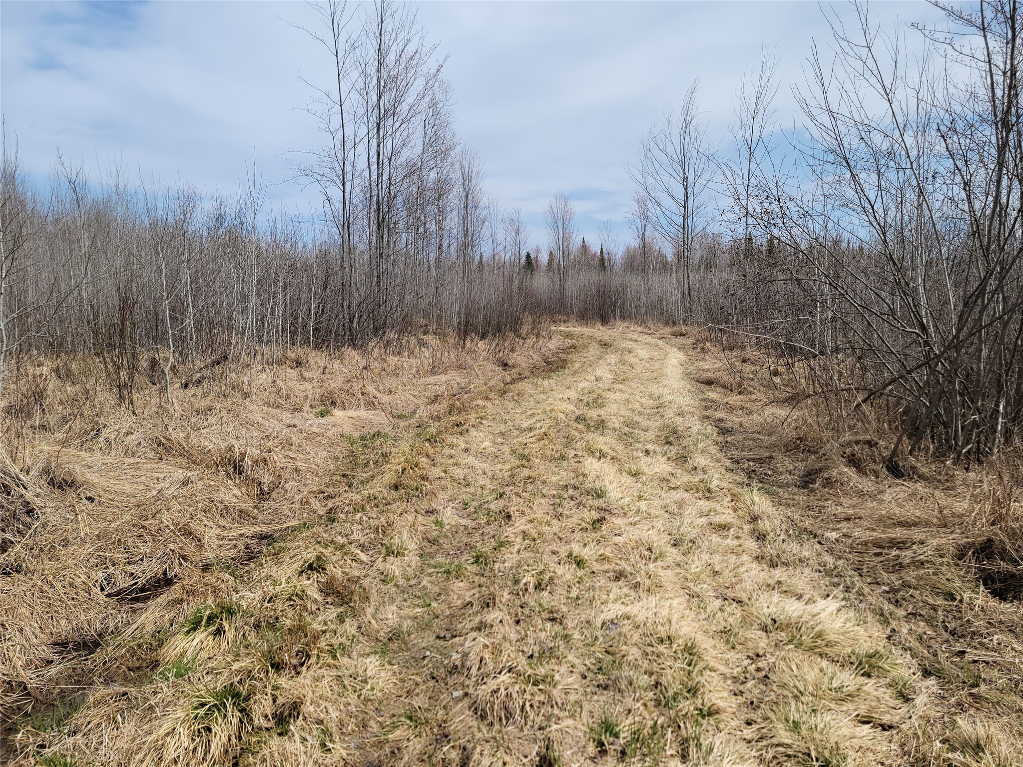 On Elderwood Road Phillips, WI 54555 - Photo 2 of 13