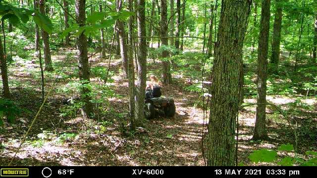 2219 Scratch Ankle Road Trenton, GA 30752 - Photo 3 of 11 Scratch Ankle 1