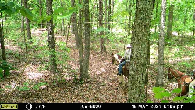 2219 Scratch Ankle Road Trenton, GA 30752 - Photo 4 of 11 Scratch Ankle 2
