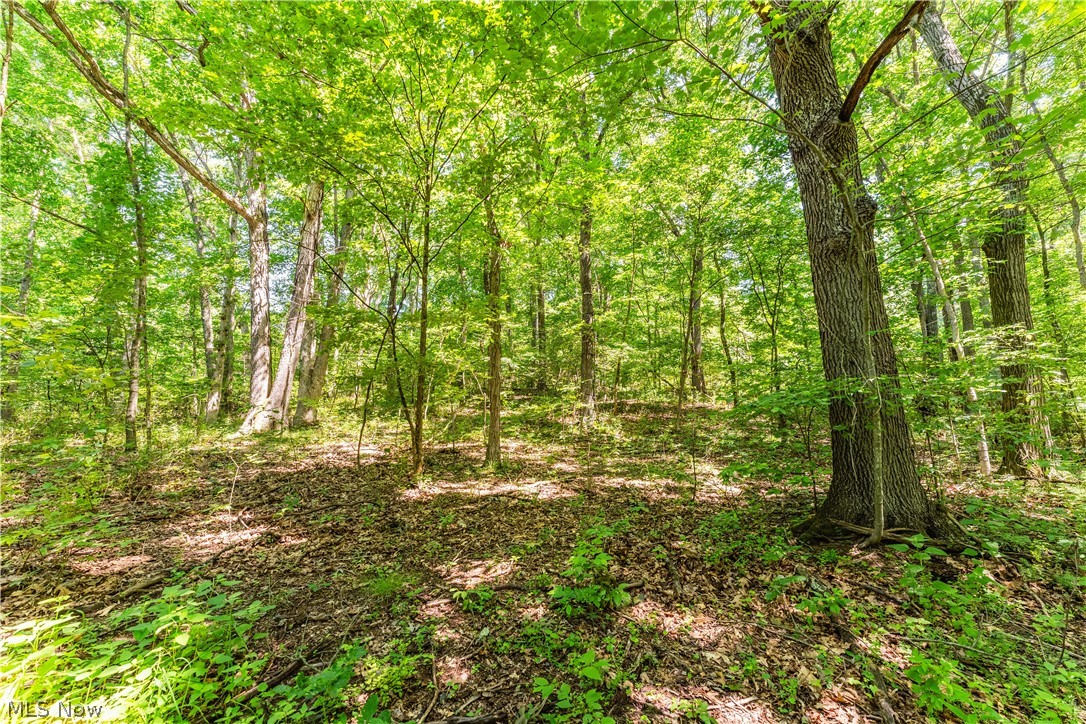 Norris Road Tippecanoe, OH 44699 - Photo 22 of 32