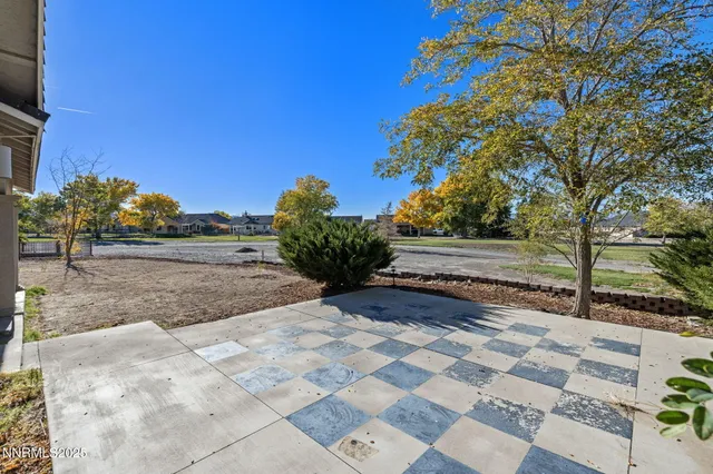 a view of a yard with plants and a trees