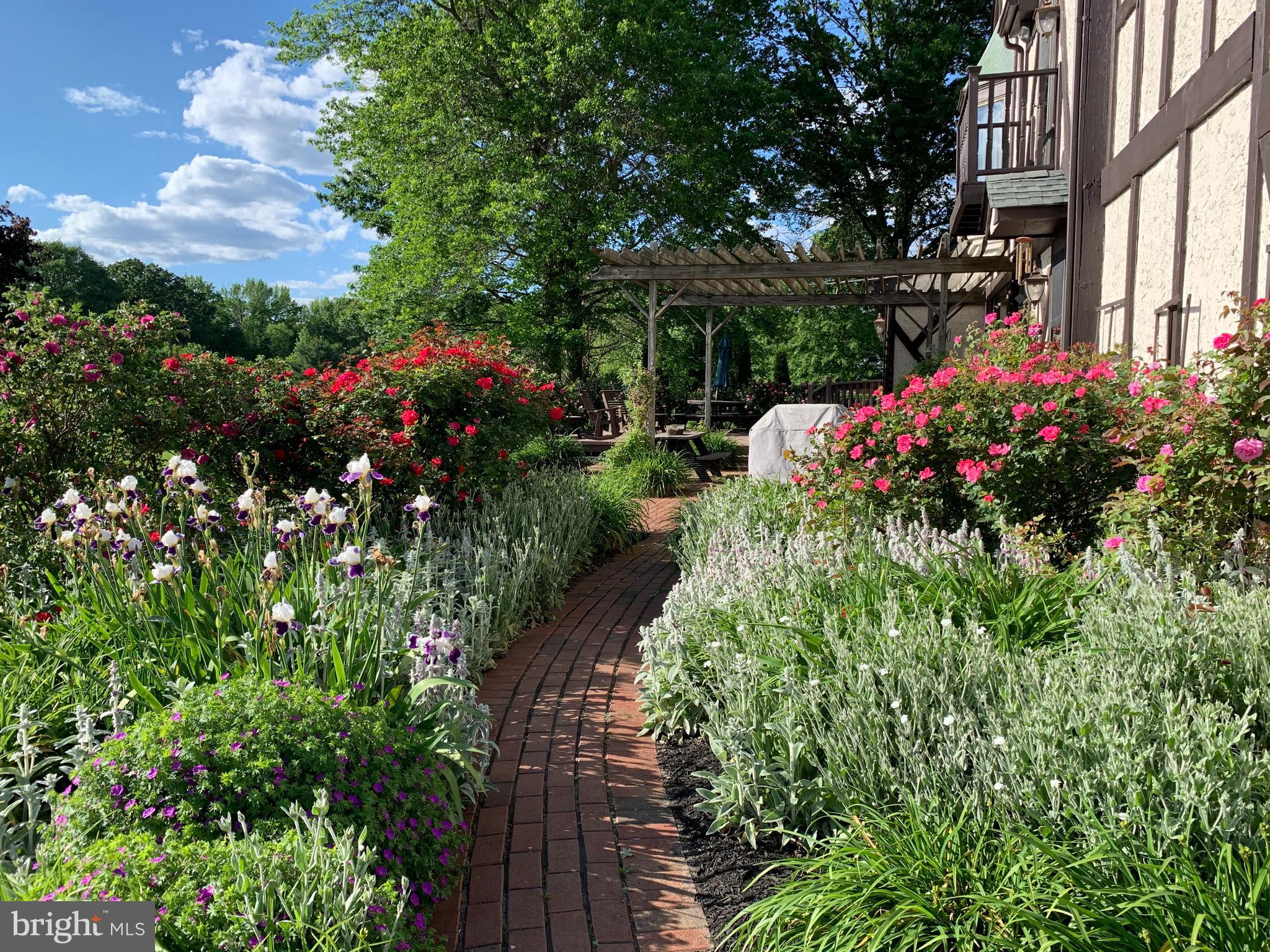 48 Harker Road Chesterfield, NJ 08515 - Photo 26 of 30 a view of a flower arrangement in backyard