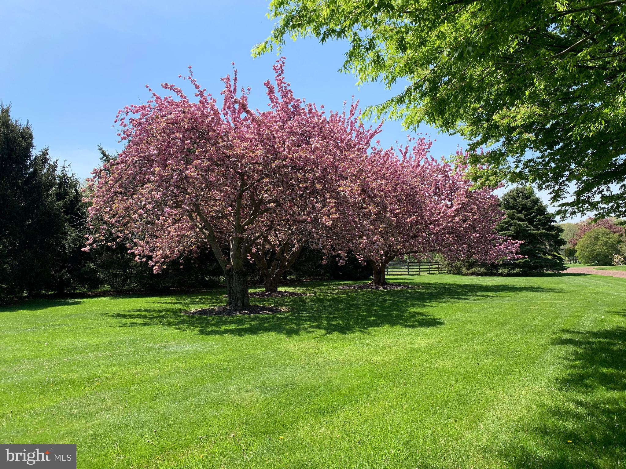 48 Harker Road Chesterfield, NJ 08515 - Photo 28 of 30 a view of a garden