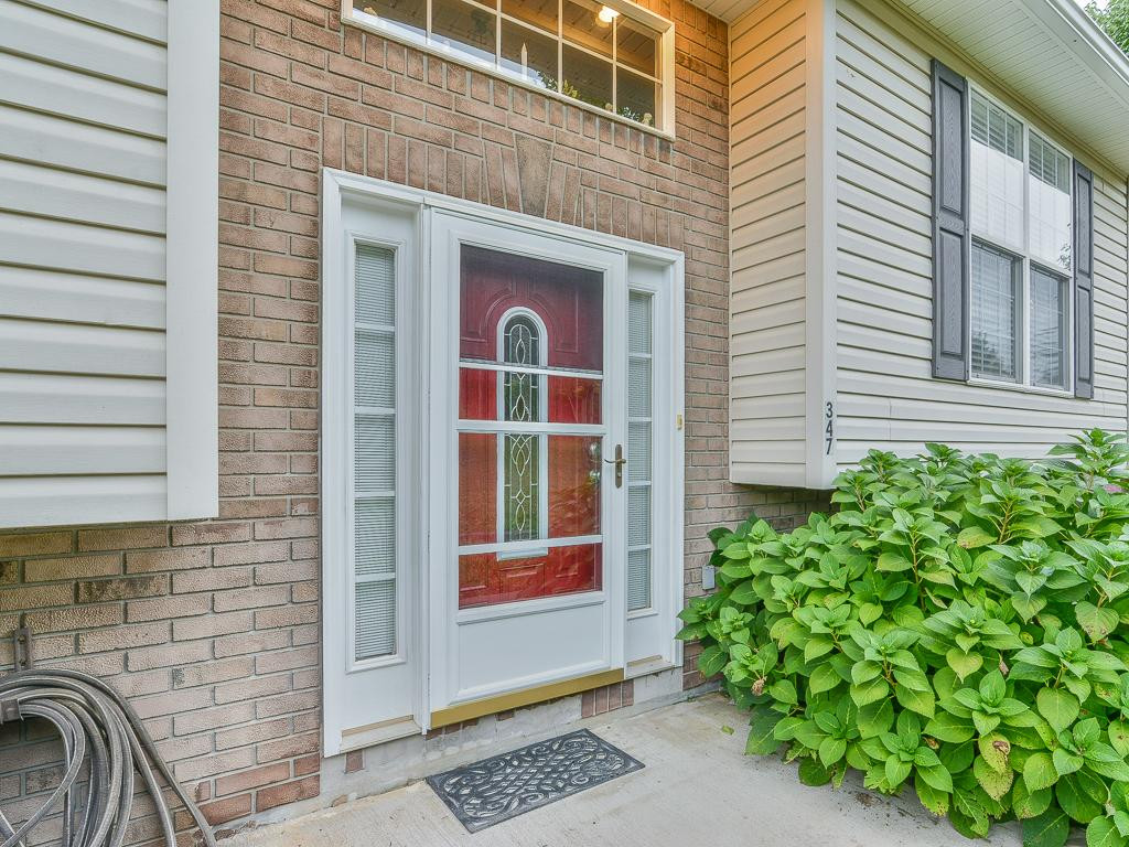 347 McInturff Road Limestone, TN 37681 - Photo 5 of 35 Photo 5