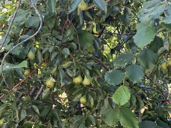 $699,000 | 2157 38th Court, Washougal, WA 98671