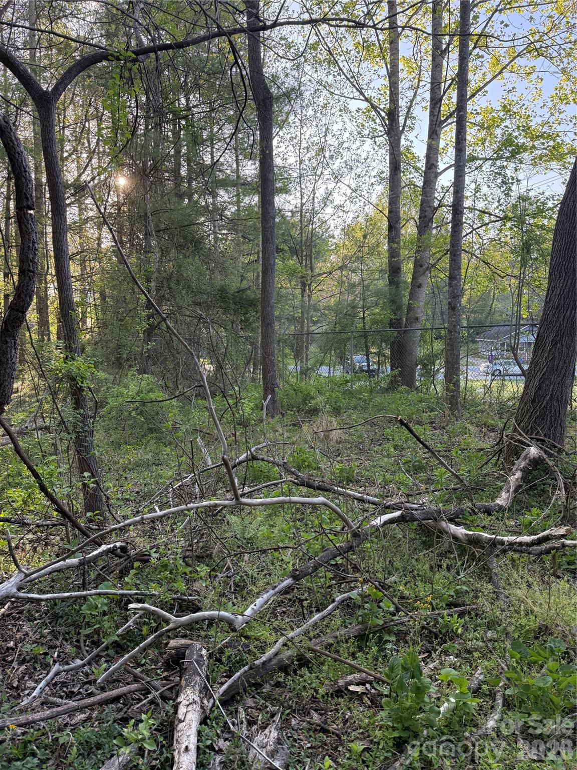0 Cashiers Valley Road, Unit TRACT 2 Brevard, NC 28712 - Photo 3 of 10 a big yard with lots of green space and house