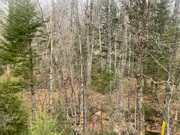 $75,000 | Lot 22 Roxbury Notch Road, Roxbury, ME 04275
