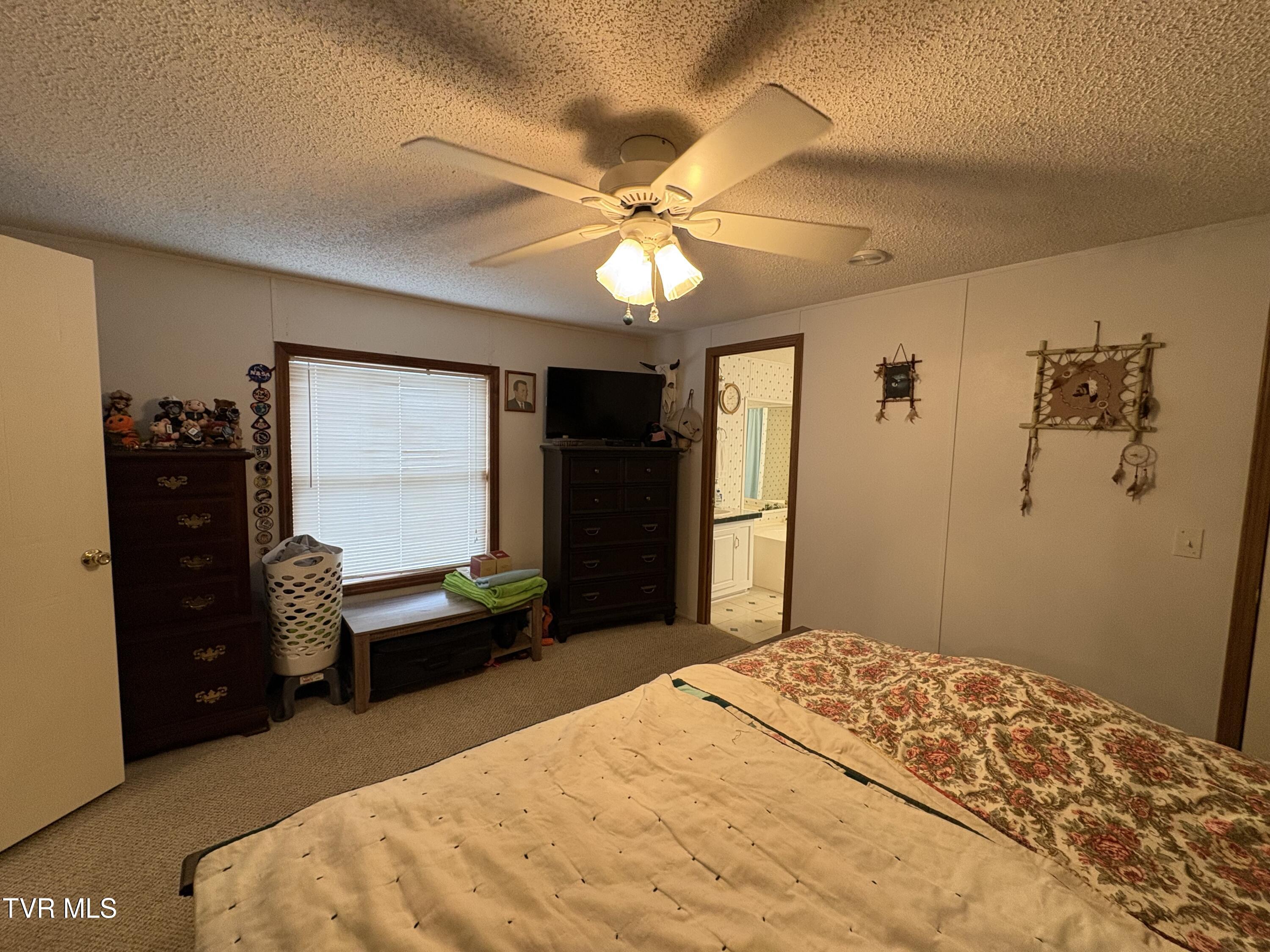 133 Mill Creek Road Elizabethton, TN 37643 - Photo 23 of 53 IMG_0186