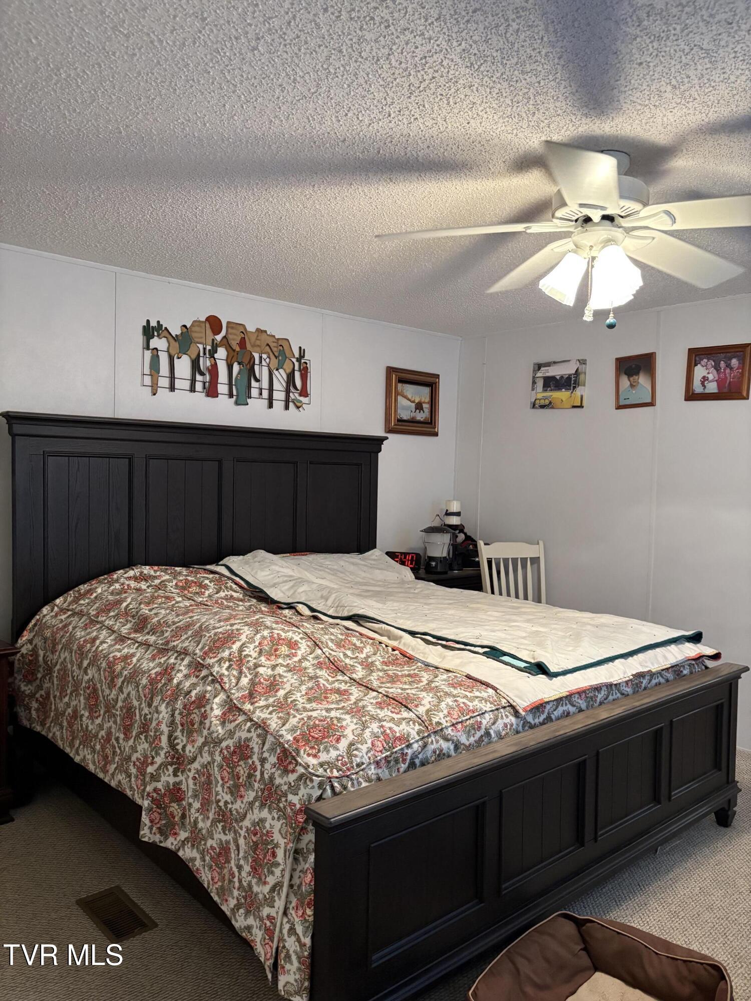 133 Mill Creek Road Elizabethton, TN 37643 - Photo 24 of 53 IMG_0184