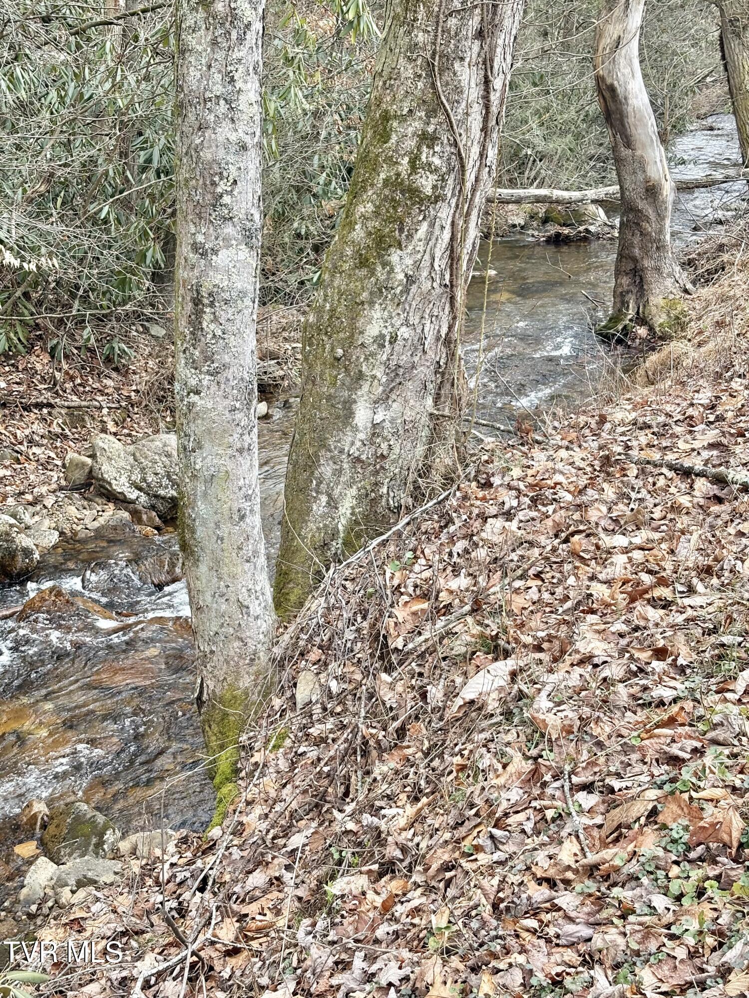 133 Mill Creek Road Elizabethton, TN 37643 - Photo 50 of 53 IMG_0243