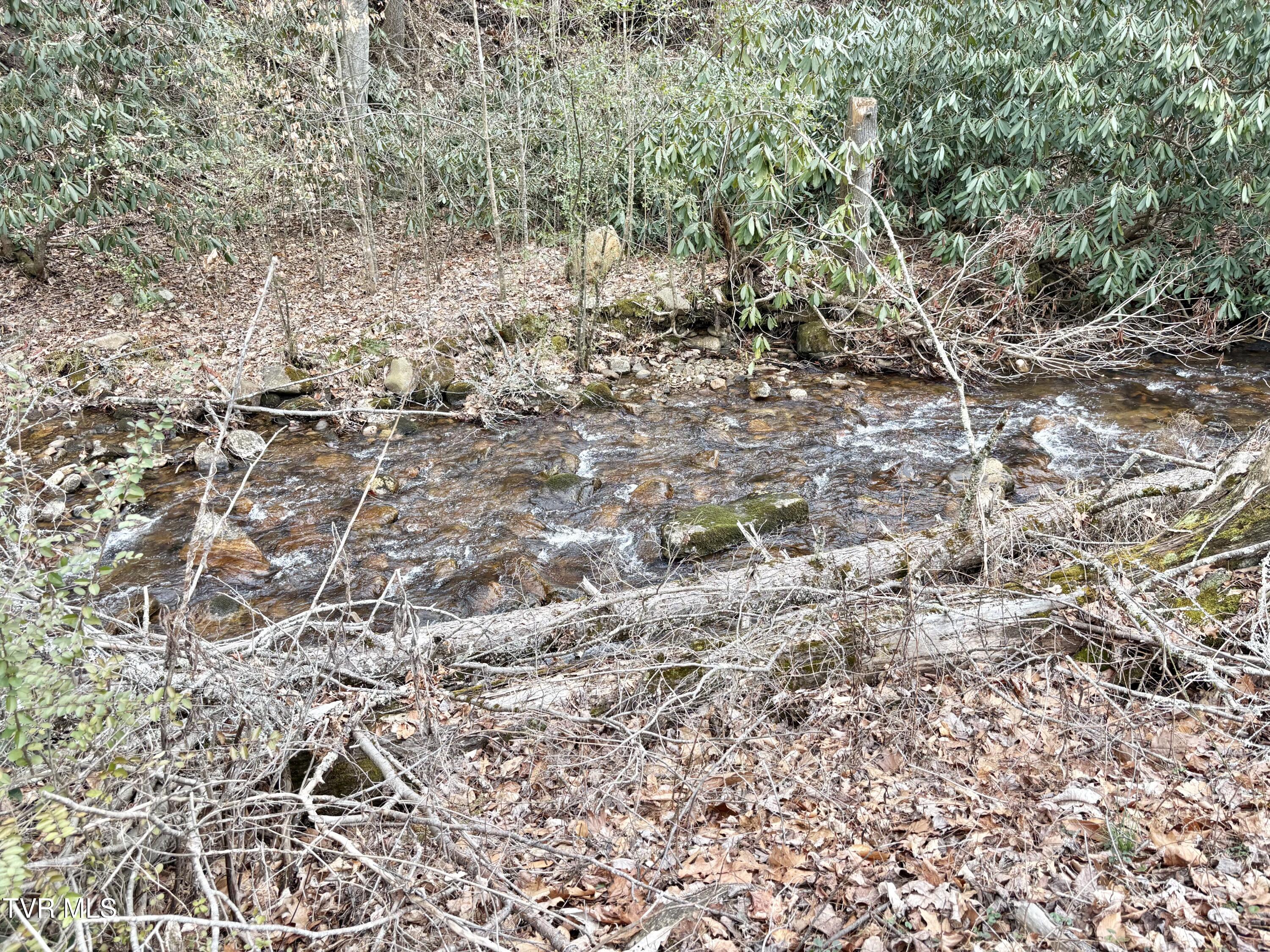 133 Mill Creek Road Elizabethton, TN 37643 - Photo 51 of 53 IMG_0241