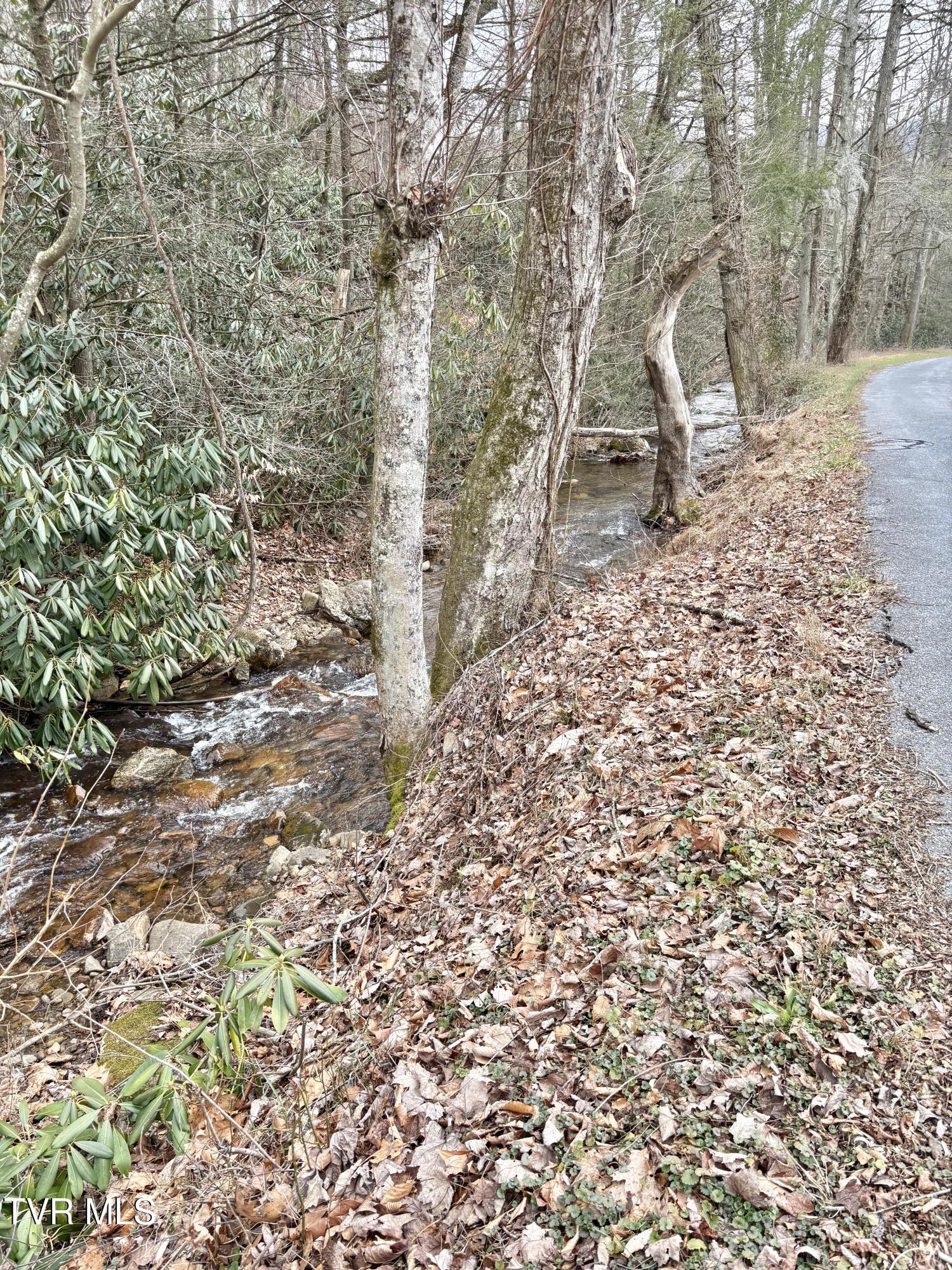 133 Mill Creek Road Elizabethton, TN 37643 - Photo 52 of 53 IMG_0242
