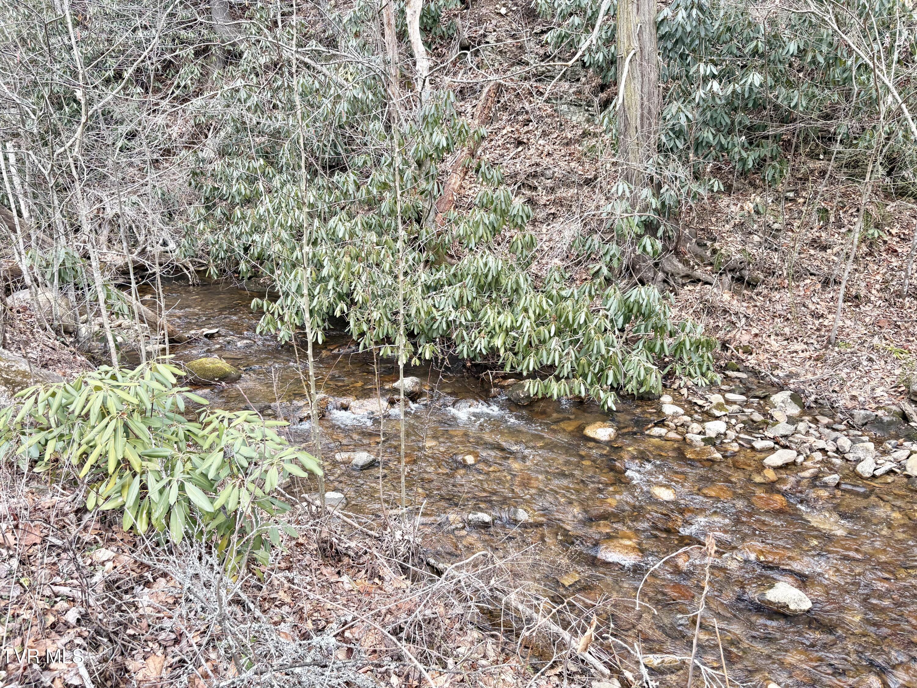 133 Mill Creek Road Elizabethton, TN 37643 - Photo 53 of 53 IMG_0238