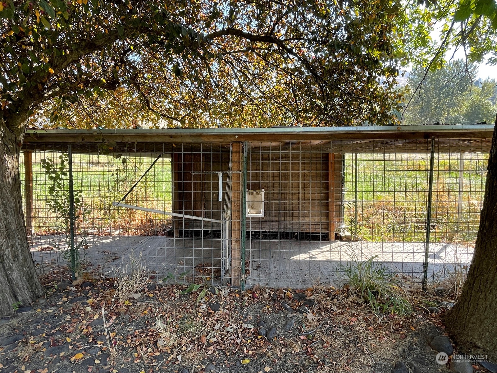 103 Wolf Fork Road Dayton, WA 99328 - Photo 24 of 40 a backyard of a house with table and chairs