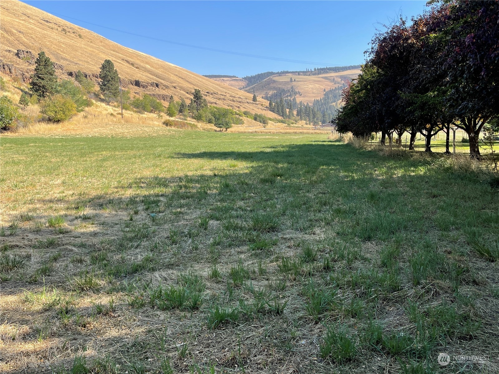 103 Wolf Fork Road Dayton, WA 99328 - Photo 26 of 40