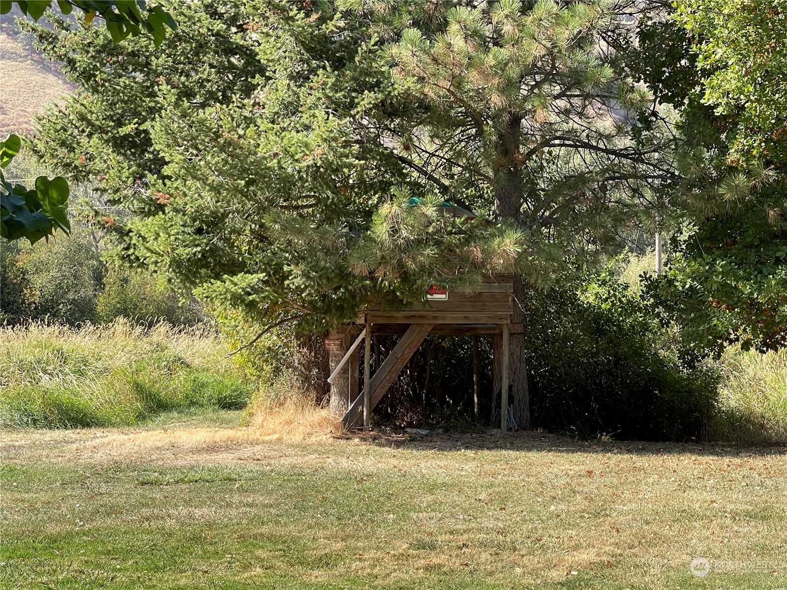 103 Wolf Fork Road Dayton, WA 99328 - Photo 27 of 40 a view of a wooden house with a yard