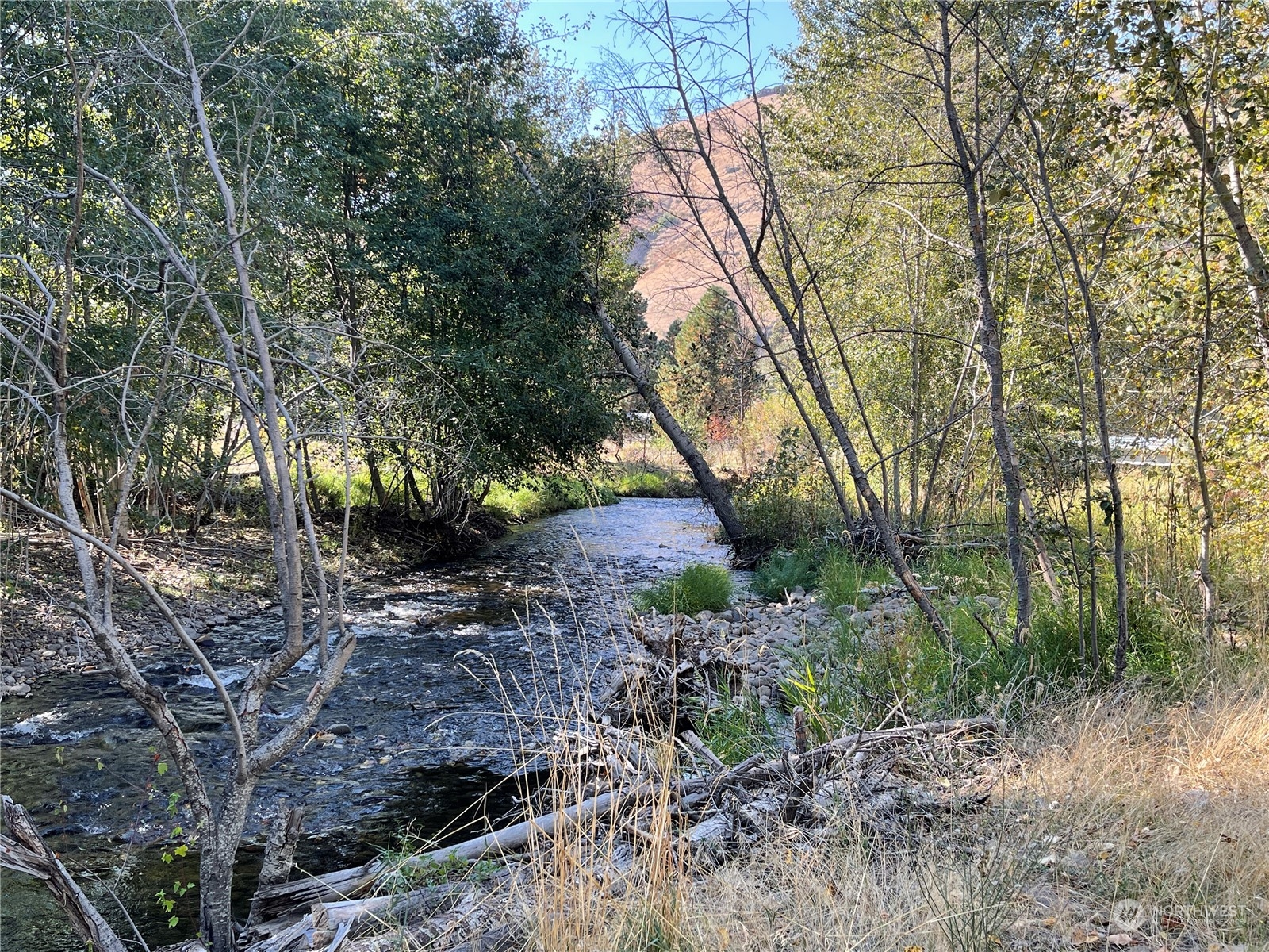 103 Wolf Fork Road Dayton, WA 99328 - Photo 33 of 40 a backyard of a house with lots of green space