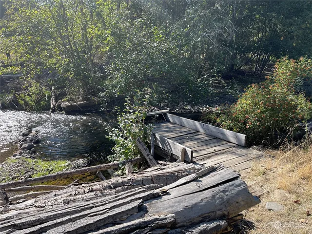 a view of a yard with plants and trees