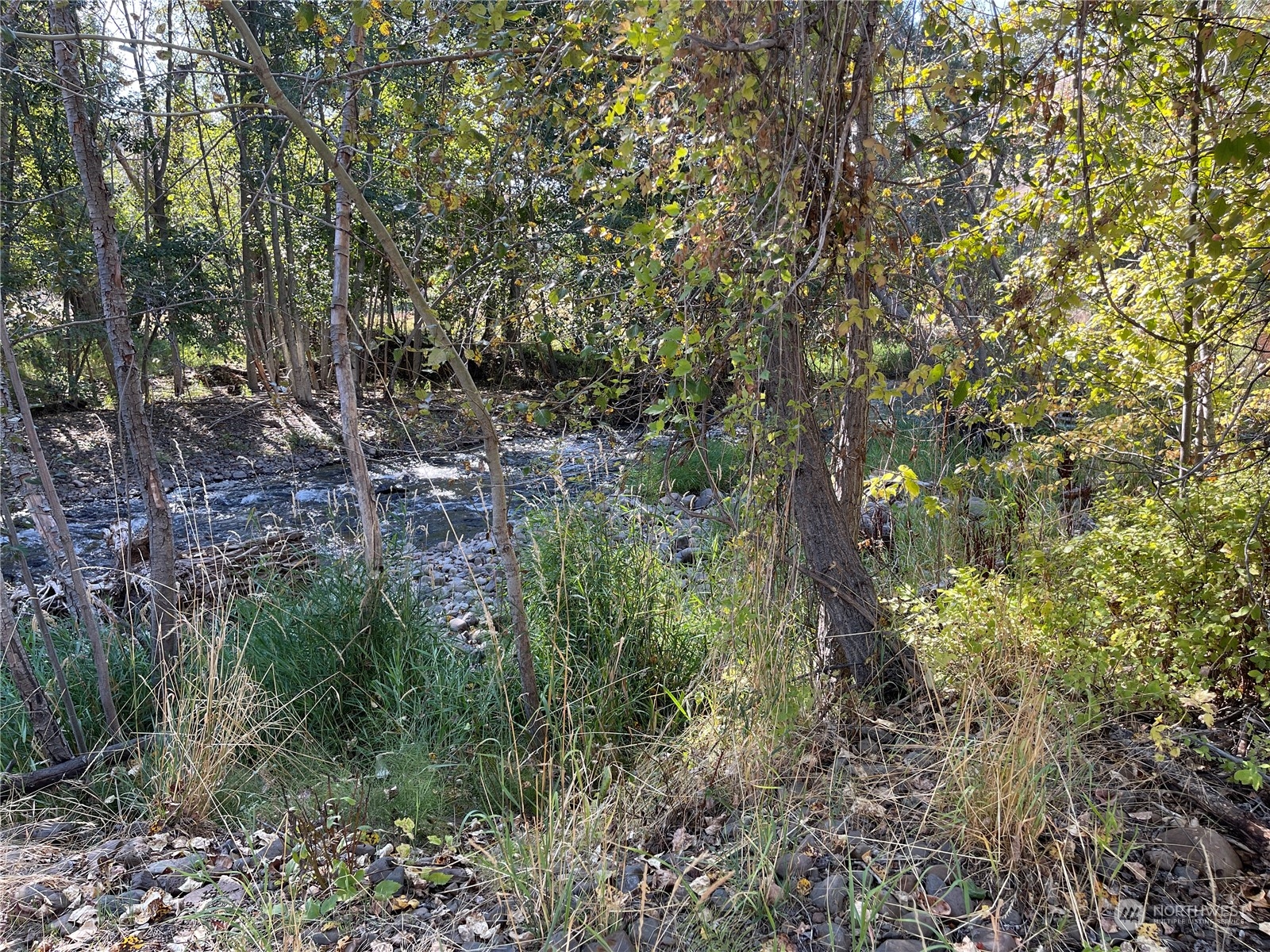 103 Wolf Fork Road Dayton, WA 99328 - Photo 36 of 40 a view of a forest with a tree