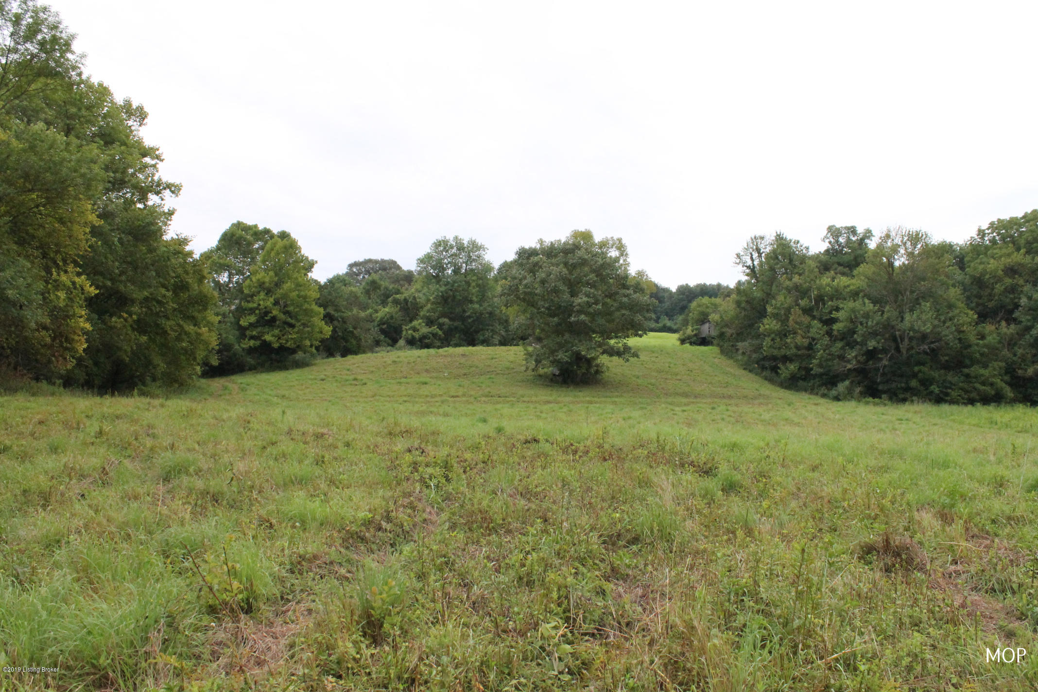 1000 Figett Bend Road Canmer, KY 42722 - Photo 57 of 61 IMG_2324