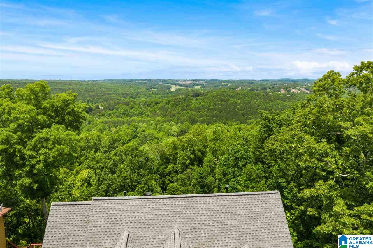 218 Shades Crest Road Birmingham, AL 35226 - Photo 26 of 30
