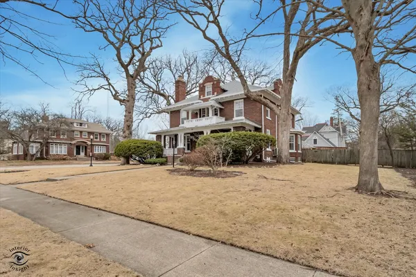 a street view with large trees