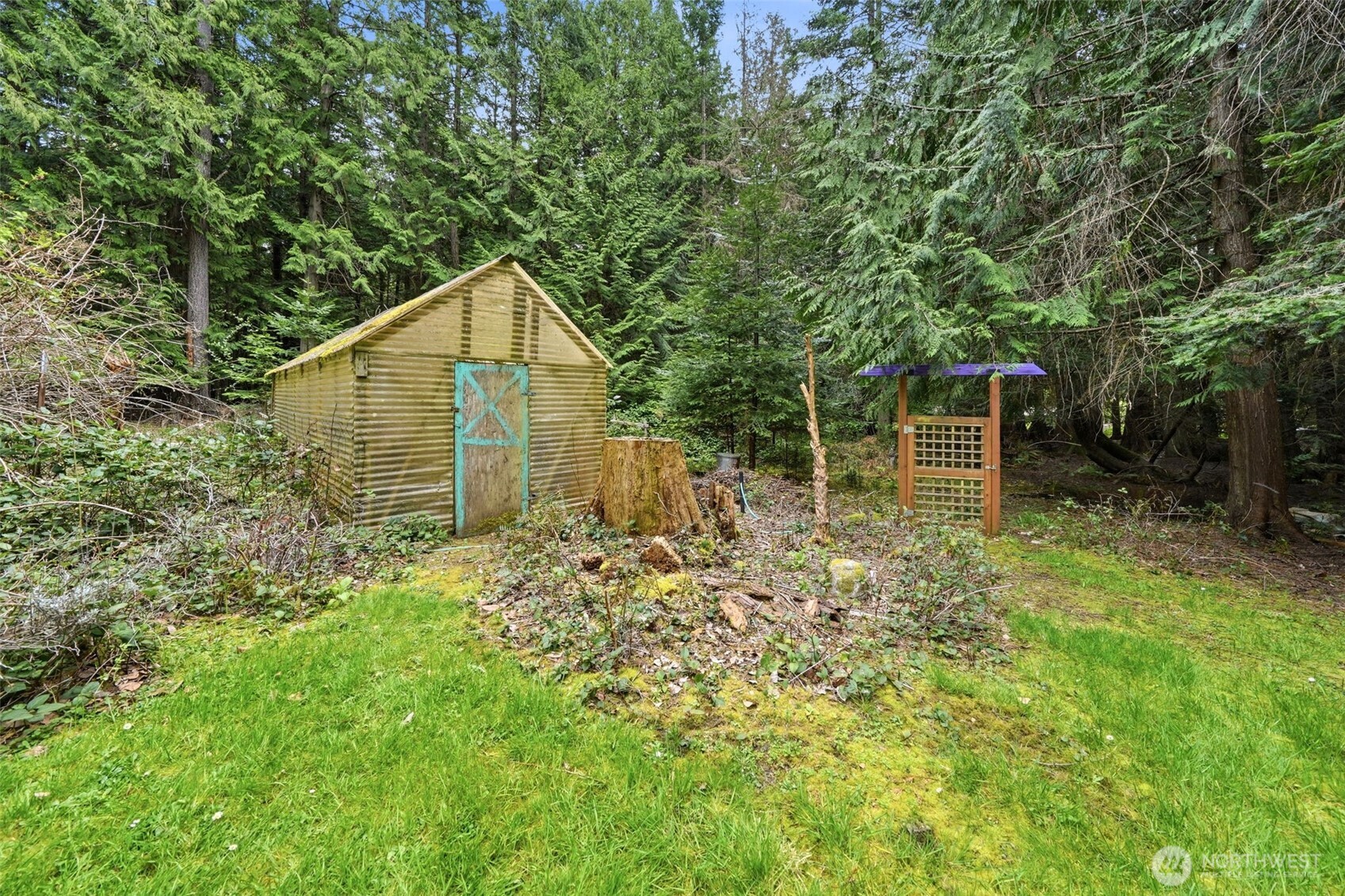 102 Byron Road Friday Harbor, WA 98250 - Photo 35 of 40 a backyard of a house with plants and large tree