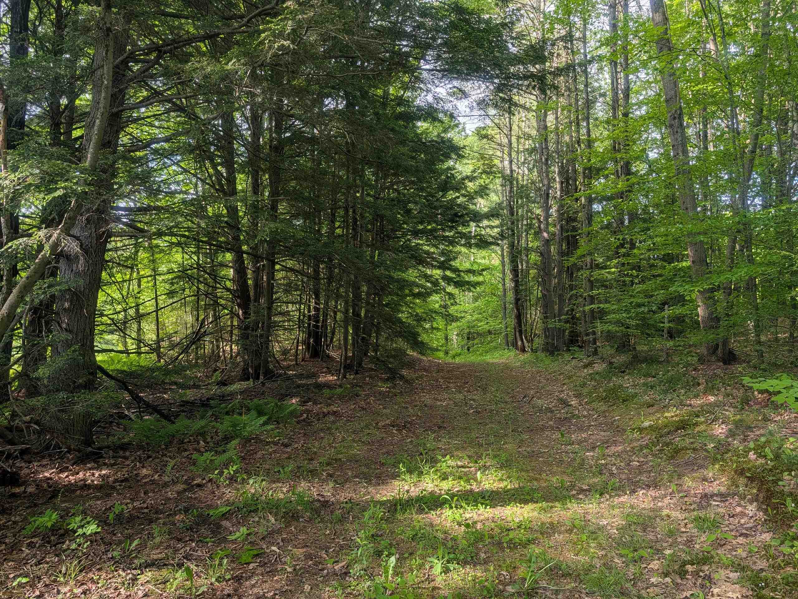198 Quechee Road Hartland, VT 05048 - Photo 8 of 13