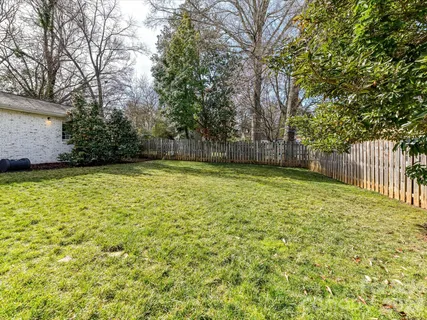 a view of a yard with a large tree