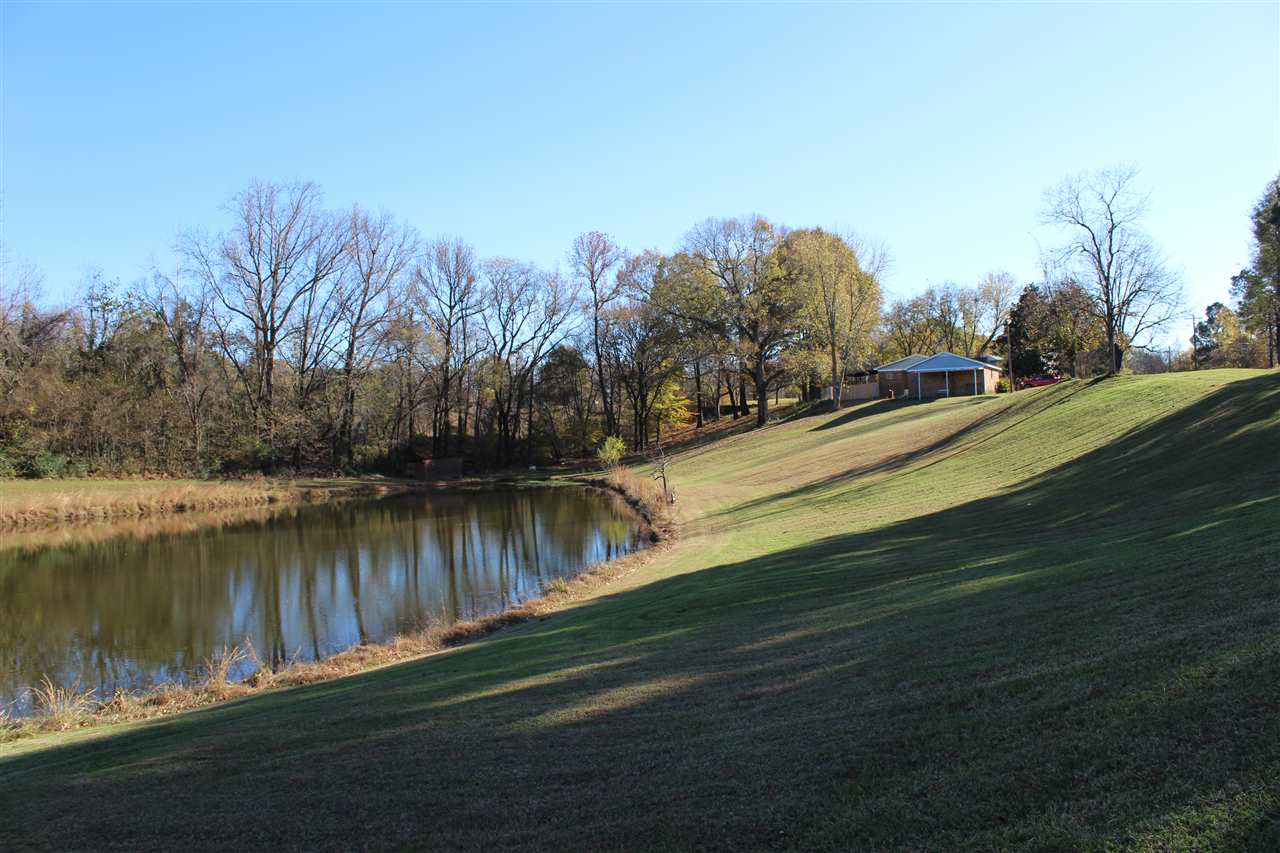 78 Reed Circle Drummonds, TN 38023 - Photo 2 of 19 Gallery Image 2