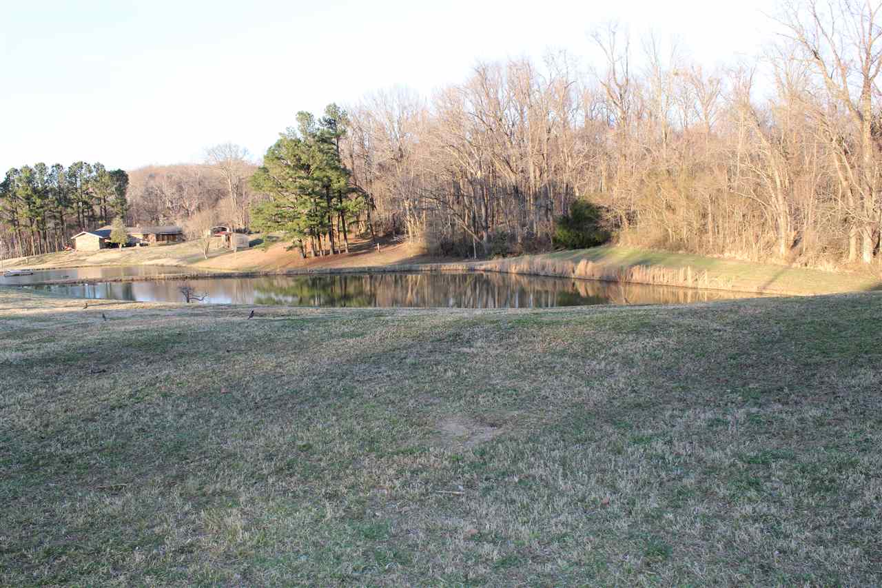 78 Reed Circle Drummonds, TN 38023 - Photo 6 of 19 Gallery Image 6