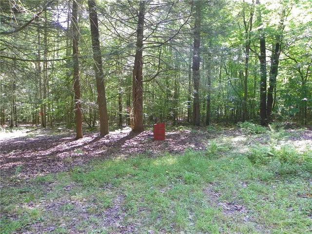 $65,000 | 8021 Hickory Hill Road, Bath, NY 14810