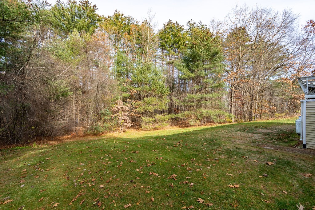 155 Groton Road Shirley, MA 01464 - Photo 36 of 42 a view of yard with trees