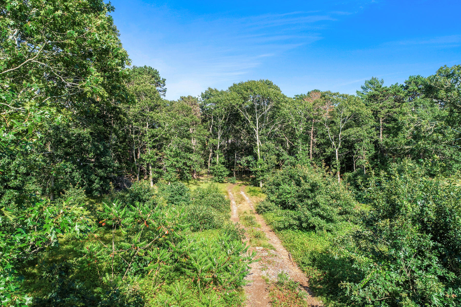 123 Riverside Drive West Harwich, MA 02671 - Photo 3 of 3 DJI_0674