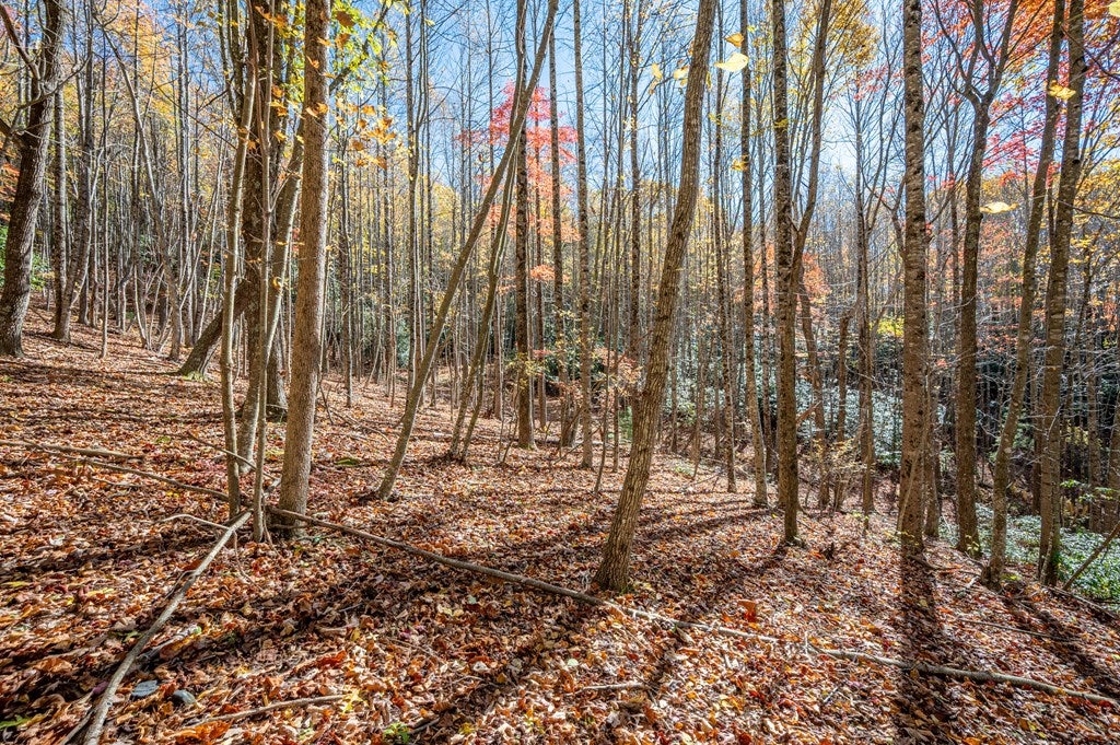 897 Phadettia Road Southwest Willis, VA 24380 - Photo 12 of 21 Gallery Image 12