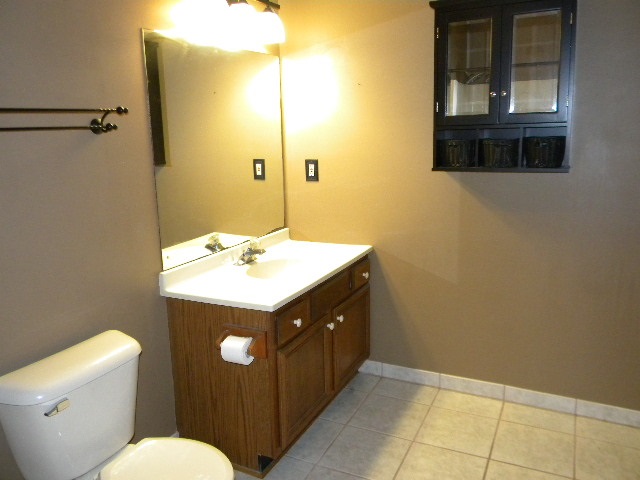 617 Pin Oak Road Rockton, IL 61072 - Photo 18 of 25 a bathroom with a sink vanity mirror and toilet